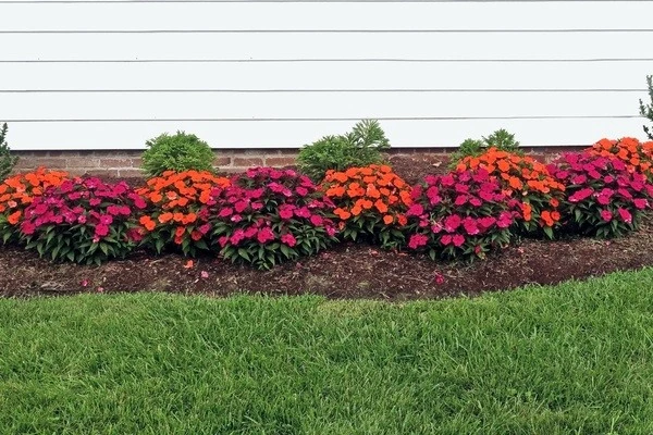 How Regular Landscape Maintenance Improves Property Value Windermere FL